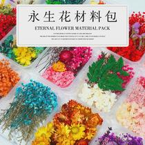 Preserved flower dried flower material package diy photo frame sticker group fan floating team building activity flower art class handmade flower material package