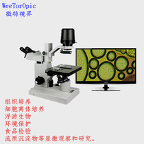 New manufacturer direct sales inverted biological microscope real cell bacteria cultured biomass with CCD food detector