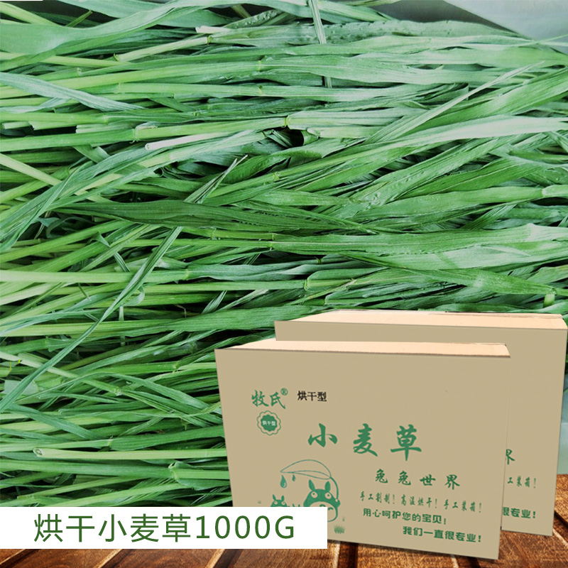 2021 dried wheat grass hay rabbit ChinChin Netherlands pig pasture wheat new grass hay Hay 1000g gross weight