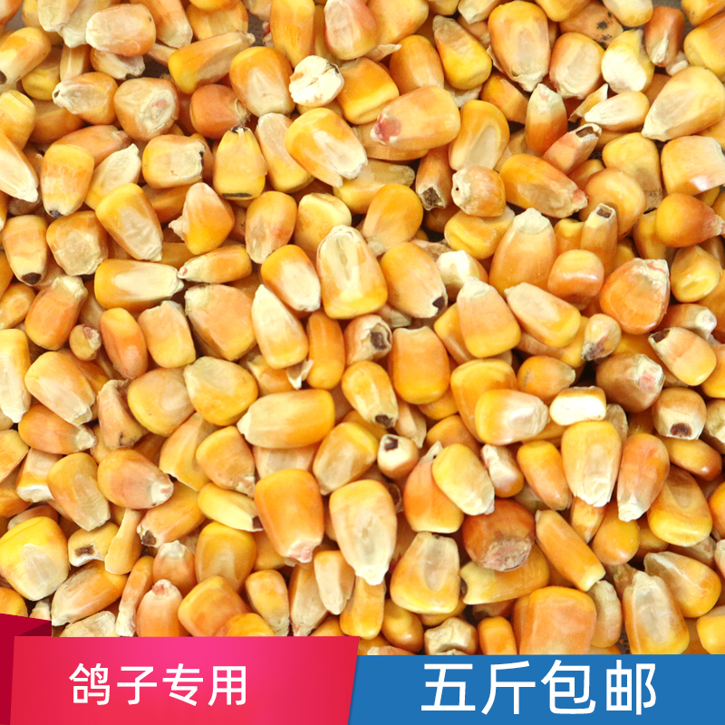 Corn grain feed new bud rice grains multigrain chicken duck pigeon pet rodent fishing nest 5 catties nationwide