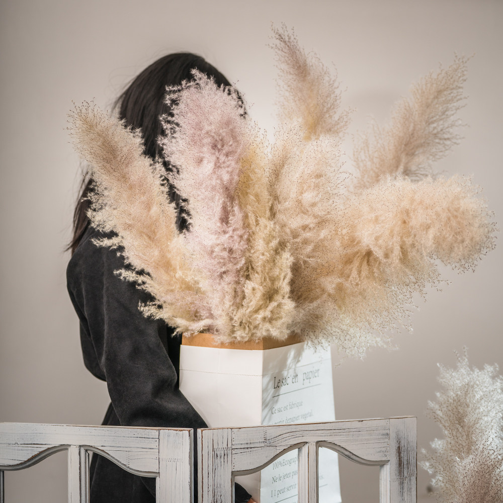 Import Pampas grass ins Dried Flowers Bouquet Great Reed Home Decoration Shop Furnishing Net Red Photo Bouquet View