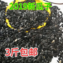  Parrot melon seeds sunflower seeds feed with shell small melon seeds Small sun tiger skin bird pearl bird food 500g
