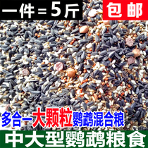  Medium and large small sun Golden Sun Monk Alex crimson-breasted gray parrot eclectic sunflower feed bird food 