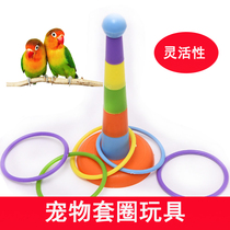 Parrot educational toy ring training Interactive Intelligence Starling development toy pet bird toy supplies