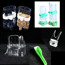  Parrot large automatic transparent automatic feeder Water feeder Feeder Bird feeder Spoon Fruit fork