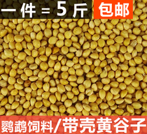  Millet with shell millet parrot food tiger skin peony bird small sunbird food feed 5 kg bird food