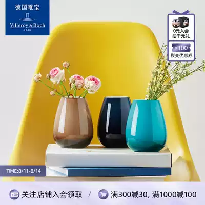 villeroyboch Germany Weibao simple vase decoration living room flower arrangement artist residence wild rain art mini