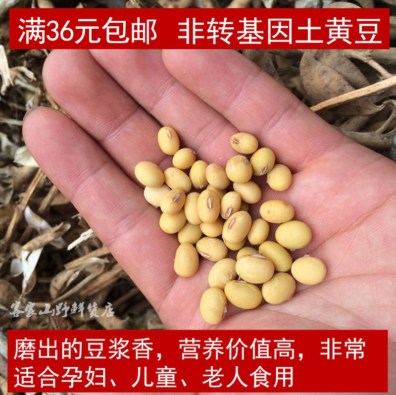 Farmhouse Self-planted oval small soybean to beat soy milk and soy bean raw soybean raw material New soybean berry juice mellow 1 catty