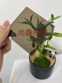 尚鑫橡塑加工的LOGO