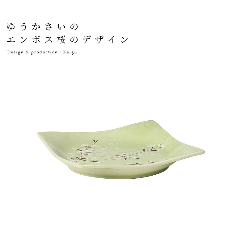 Japanese steak and ceramic plate side of dish dish to eat all the fruit salad platter home plate tableware