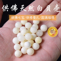  Tianyu Longyin Offering for repair Manza Gemstone offering for Buddha Natural White shell round beads 50g