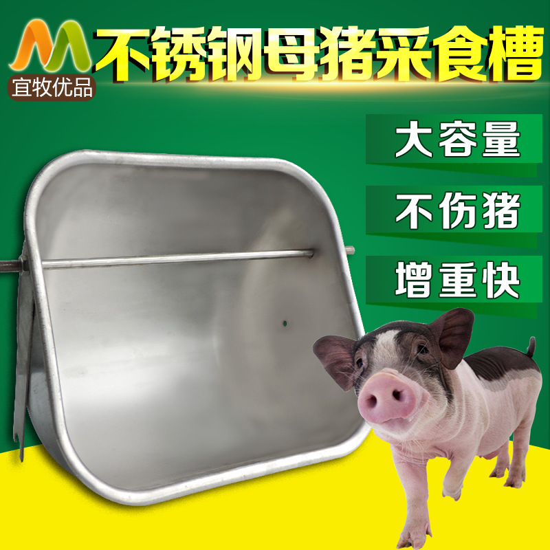 Stainless steel sow trough Feeding trough Feeding trough Feed trough Laying bed positioning bar trough Big pig feeding trough