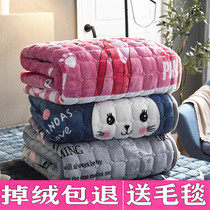 Flannel Bed Bedding Gush Mattress One Meter Five Bedding Students Coral Suede Cushion Bedding Bottom 1 8 Blanket Upholstered 5