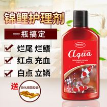 Meicai koi therapeutic agent fish disease special agent for the treatment of rotten gills fin rotten tail rotten meat standing scales White Hair water mold