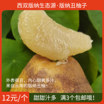Yunnan Xishuangbanna big pomelo a about 600 grams of ugly pomelo big bubble fruit East test early Old varieties farmer self-planting