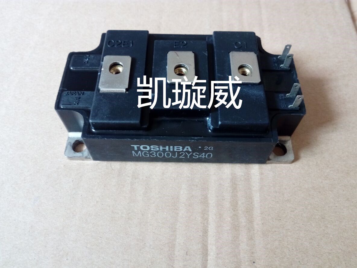 MG300J2YS50 MG300J2YS40 MG300J2YS45 Quality Guarantee