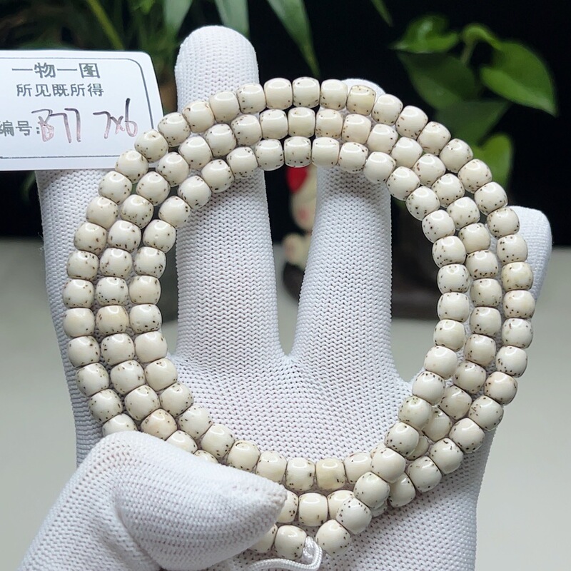 B77 Unique Item with Individual Image Bone China White River Dolphin 7×6 Large White Space Moon and Star Bodhi 108 Bead Bracelet