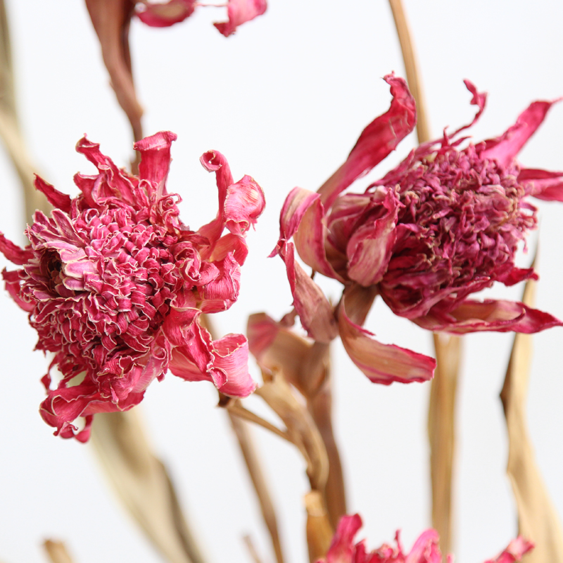 仿若天然：仿真香蕉串装饰美学的秘密