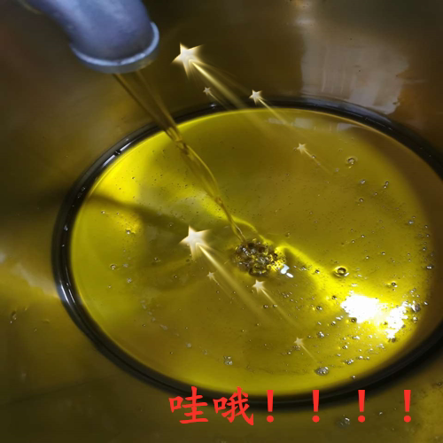 공기 압력 오일 필터 기계 고온 저항성 산 및 알칼리 저항성 산업 등급 필터 천 땅콩 용기 해바라기