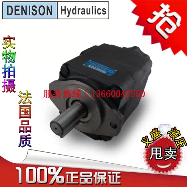 Denison T6EC 062022 1R00 1R00 B1 J224 J224 molding machine hydraulic vane pump guts accessories DENISON
