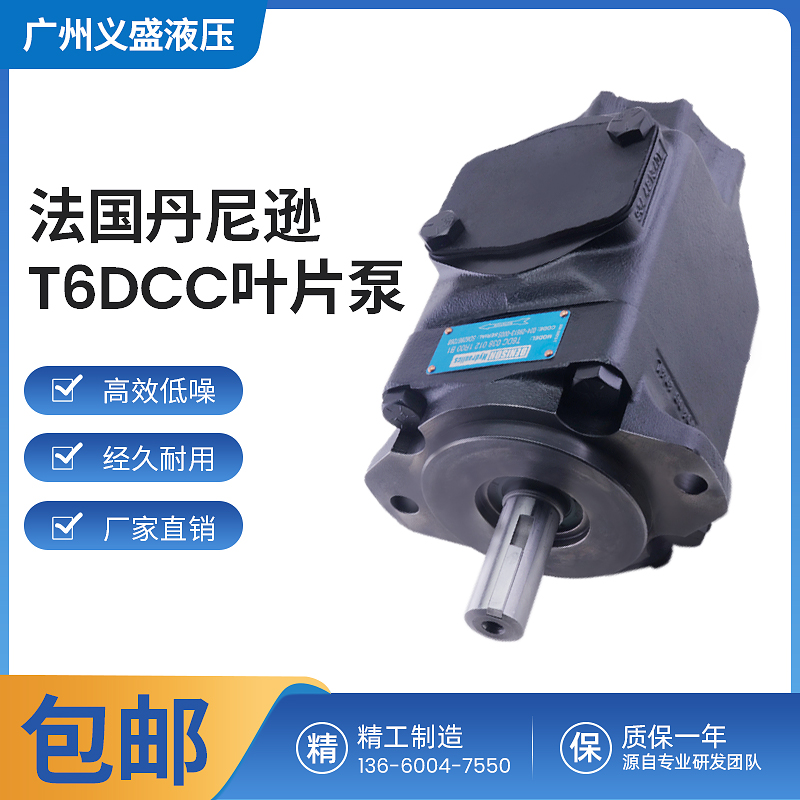 DENISON Denison T6DCC-038-017-066-3L02-C100 Vane Pump Electric