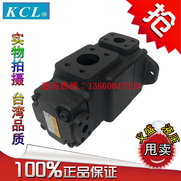 KCL Kejia VQ215 -60-6 8 11 11 14 14 19 17 23 23 26 31-F-RAA-01 vane pump electric