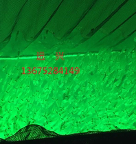 Xinkang brand Marine 2000W underwater fish collection lamp squid lamp green bubble underwater lamp set