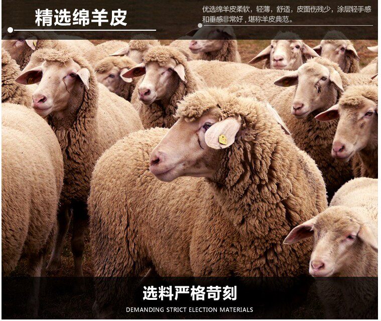 Gilet sans manche sport - Ref 542241 Image 8