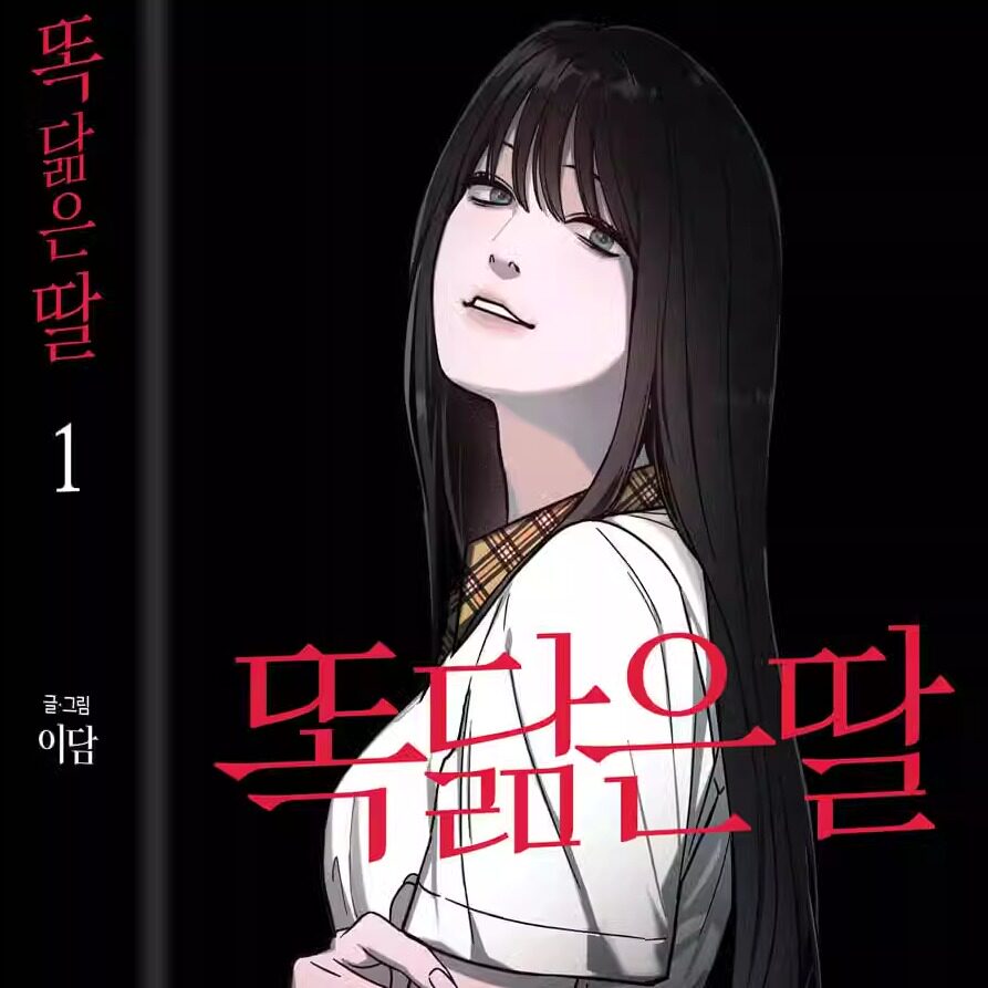 如出一辙的女儿1 漫画盒装版韩文版