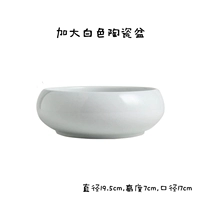 Кремовый, белый