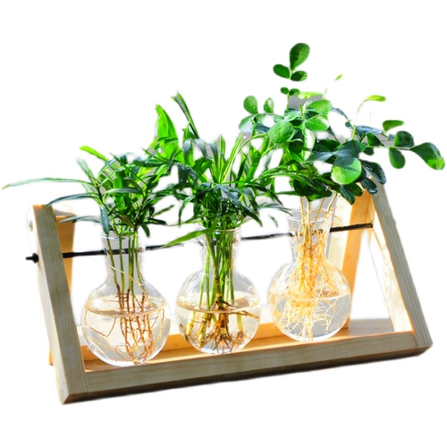 Творческие гидропонные растения деревянная полка ваза стеклянная бутылка офис в крытый рабочий столик