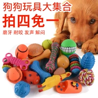 Pet puppy dog ​​toy ball vocal mol cắn đào tạo Teddy gấu con chó con mèo và chó đồ chơi vật nuôi - Mèo / Chó Đồ chơi xương đồ chơi cho chó mèo