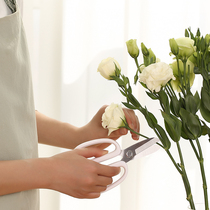 Gardening scissors to repair flowers and plants twigs scissors household flower art wide head repair flower branches short blade flat knife edge tool