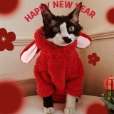 Сфинкс планета безволоса