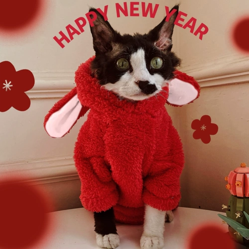 Сфинкс планета безволоса