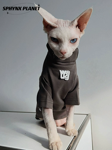 Sphynx планета безволосая кошка Sinox Немецкая одежда Весна и осень -две два -суперкачественные хлопковые края