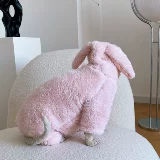 Сфинкс планета безволоса