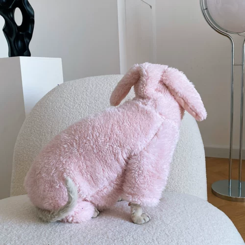 Сфинкс планета безволоса