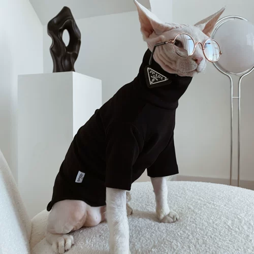 Sphynx планета немецкая одежда