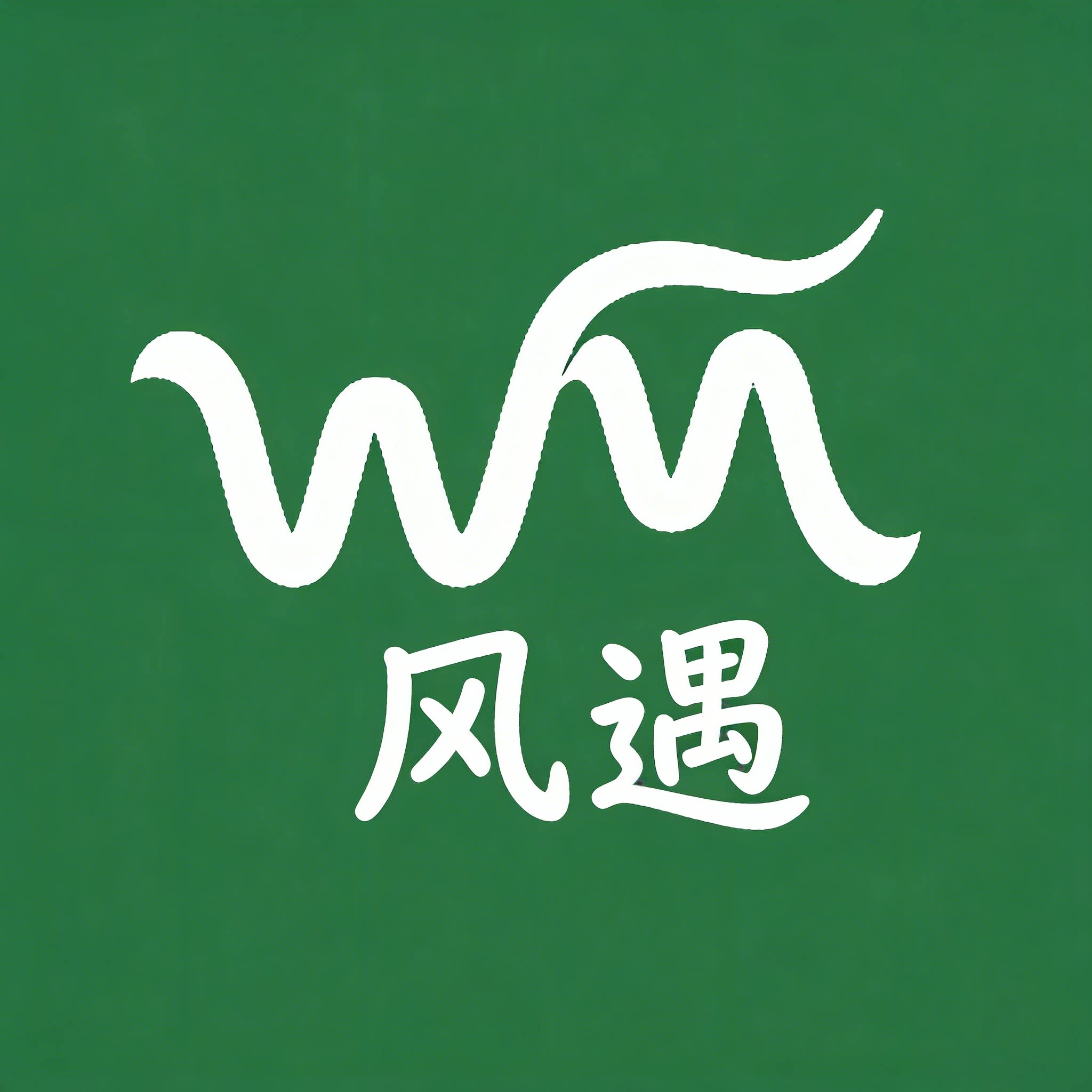 WINDMEET  风遇