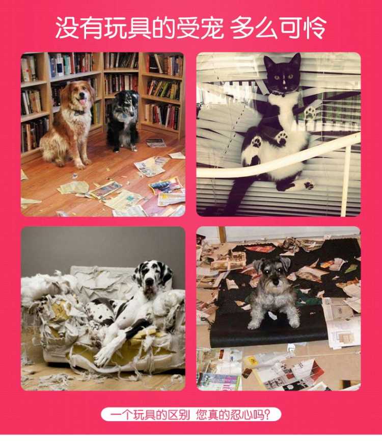 Pet nhựa mèo chơi bóng đồ chơi điện bền bóng mèo nhựa bóng chó vật nuôi - Mèo / Chó Đồ chơi đồ chơi cho mèo
