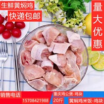 Yellow Braising Chicken Nuggets Fresh Frozen Raw Chicken Leg Chopped Chicken Leg Meat with 20 catty of Chongqing Chicken Public Saucepan for sale of rice