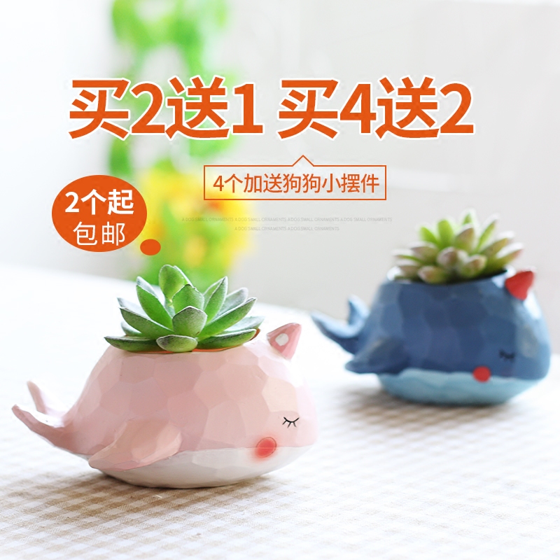 Creative Pastoral Cartoon Cute Succulent Plants Flower Pots Garden Balcony Decor