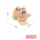 Sáng tạo dễ thương bulinois nhỏ đồ trang trí máy tính để bàn hoạt hình trang trí nhà sinh nhật món quà chó sói chó con chó nội thất cây trang trí trong nhà
