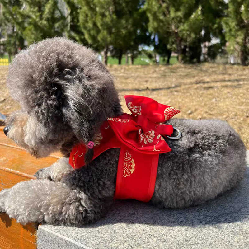 Pet Leash for Walking Dogs and Cats, Puppy Clothes, Teddy, Bichon, Festive Wedding Dress, Dowry Dress, Tang Suit
