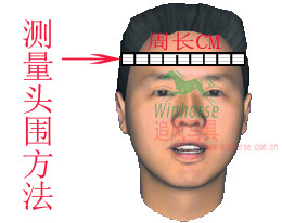 Article équitation WINHORSE - Ref 1380602 Image 4