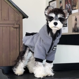 Одежда для собак, маленькая собака, шнауцер, Тедди, померанский шпиц, зимняя теплая одежда, утолщенная бархатная модная толстовка для домашних животных