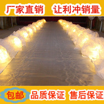 Wedding catwalk yarn road guide Catwalk snow yarn Dragon Ball lamp road guide layout scene Wedding stage yarn road guide Genting yarn