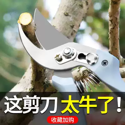 Fukuoka fruit tree rough shears horticultural pruning shears home mulberry branch scissors strong garden fruit branch Scissors Scissors tools