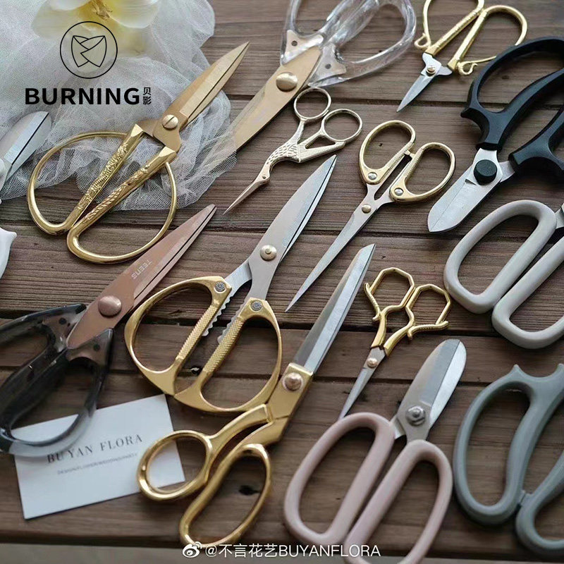 Baiju Flower Garden Scissors Fittings Golden Dragon Fengyuan Scissors Scissors Ribbon Paper Artist Household